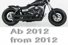 Fat Bob Models 2012 on