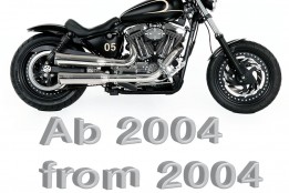 From 883cc to 1200cc 2004 on