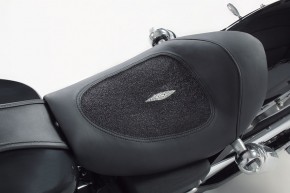 Special Leather stingray [Additional Part]