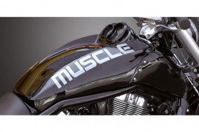Airbox Cover „Force“